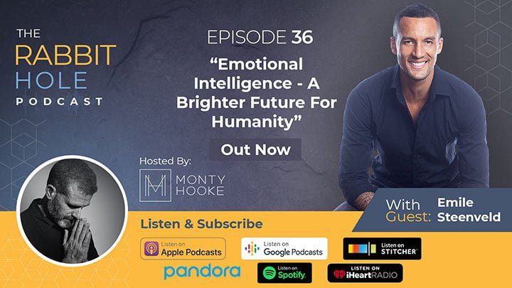 Episode 36 – “Emotional Intelligence – A Brighter Future For Humanity” with Emile Steenveld